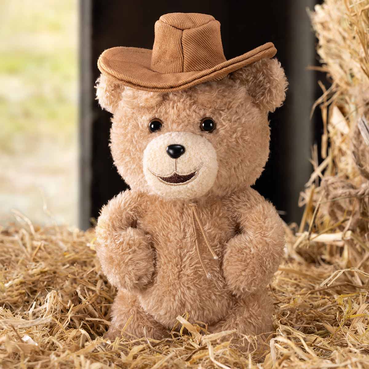 Ted Teddy Bear Action